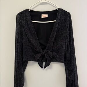 Showpo Shimmer Black Tie-Front Crop Top